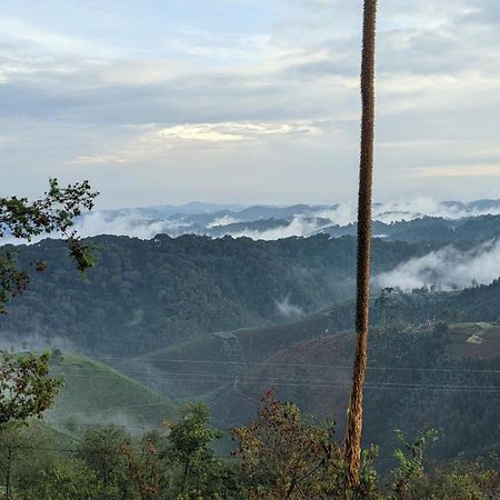 Nyungwe Village Kitabi Екстер'єр фото