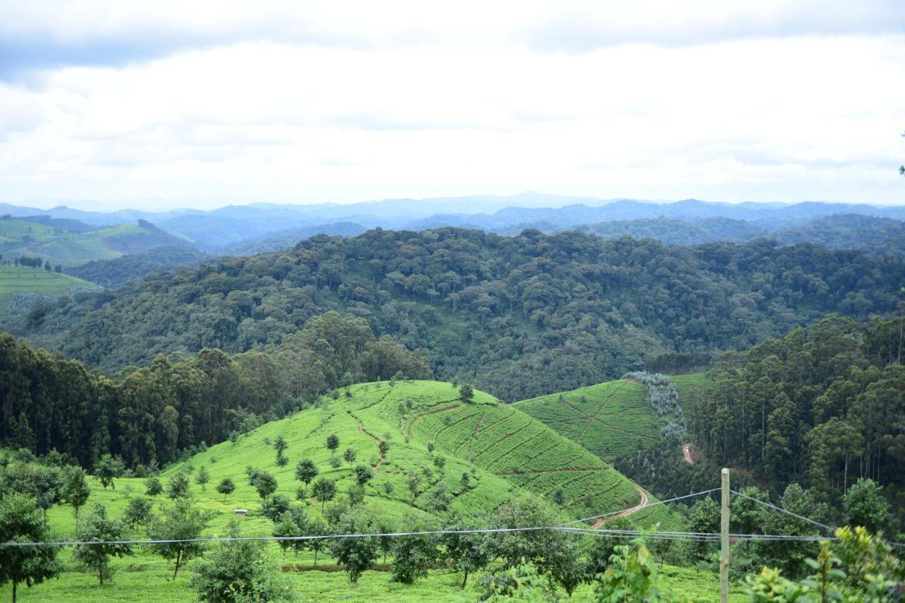 Nyungwe Village Kitabi Екстер'єр фото