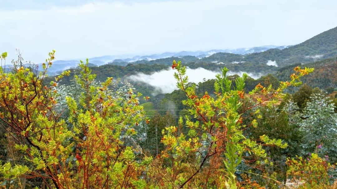 Nyungwe Village Kitabi Екстер'єр фото