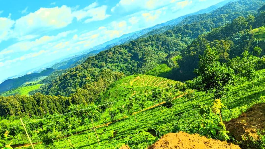 Nyungwe Village Kitabi Екстер'єр фото